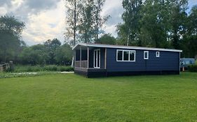 IJsvogel